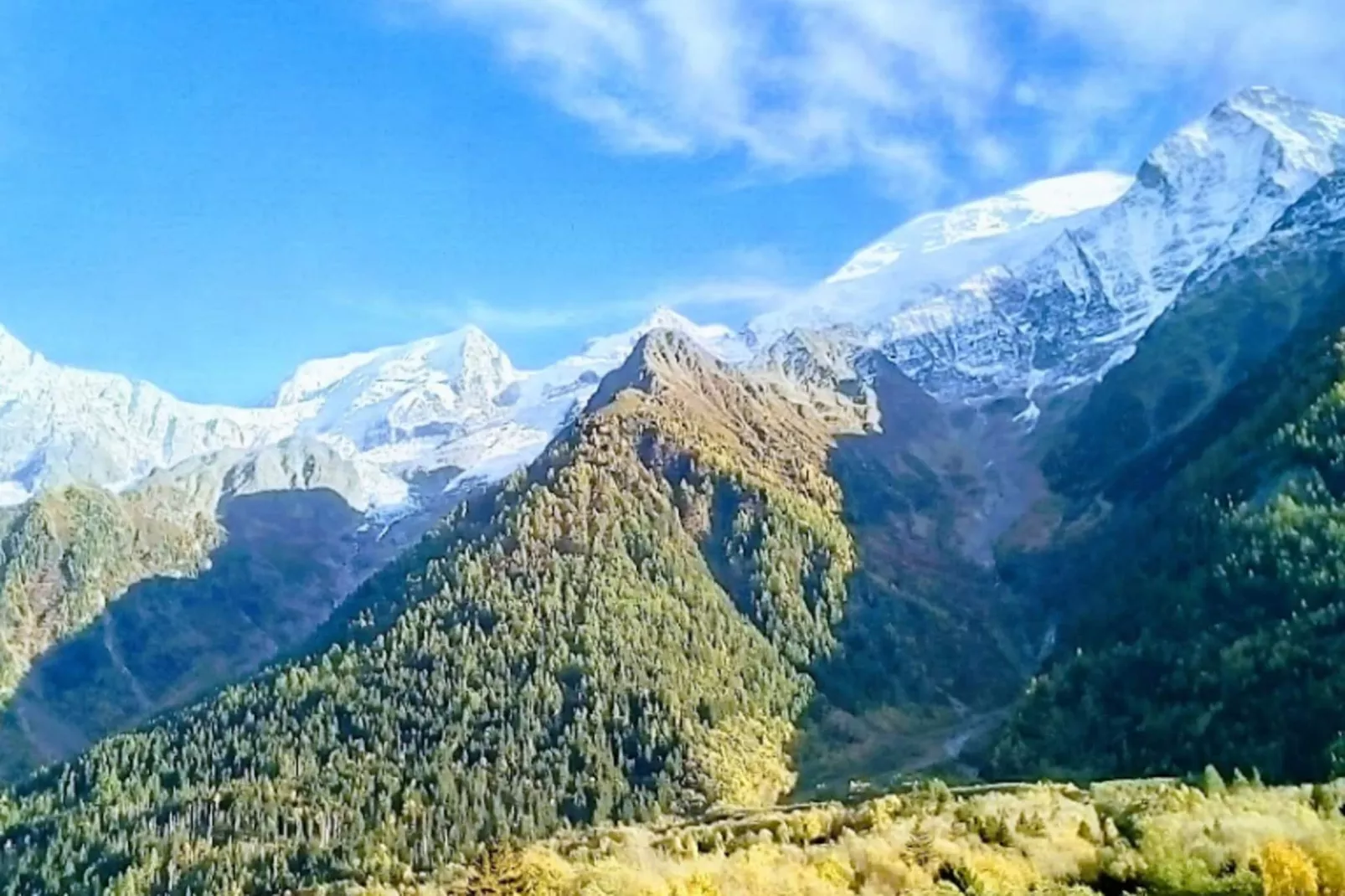 Résidence Les Amethystes B-Buitenkant zomer