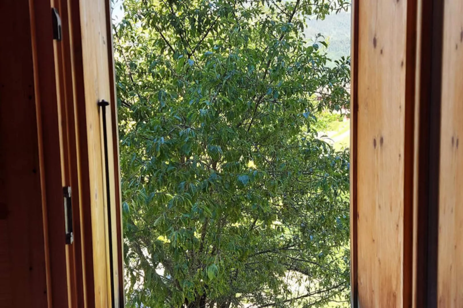 Chalets à Saint Jean d'Aulps-Image-tags.