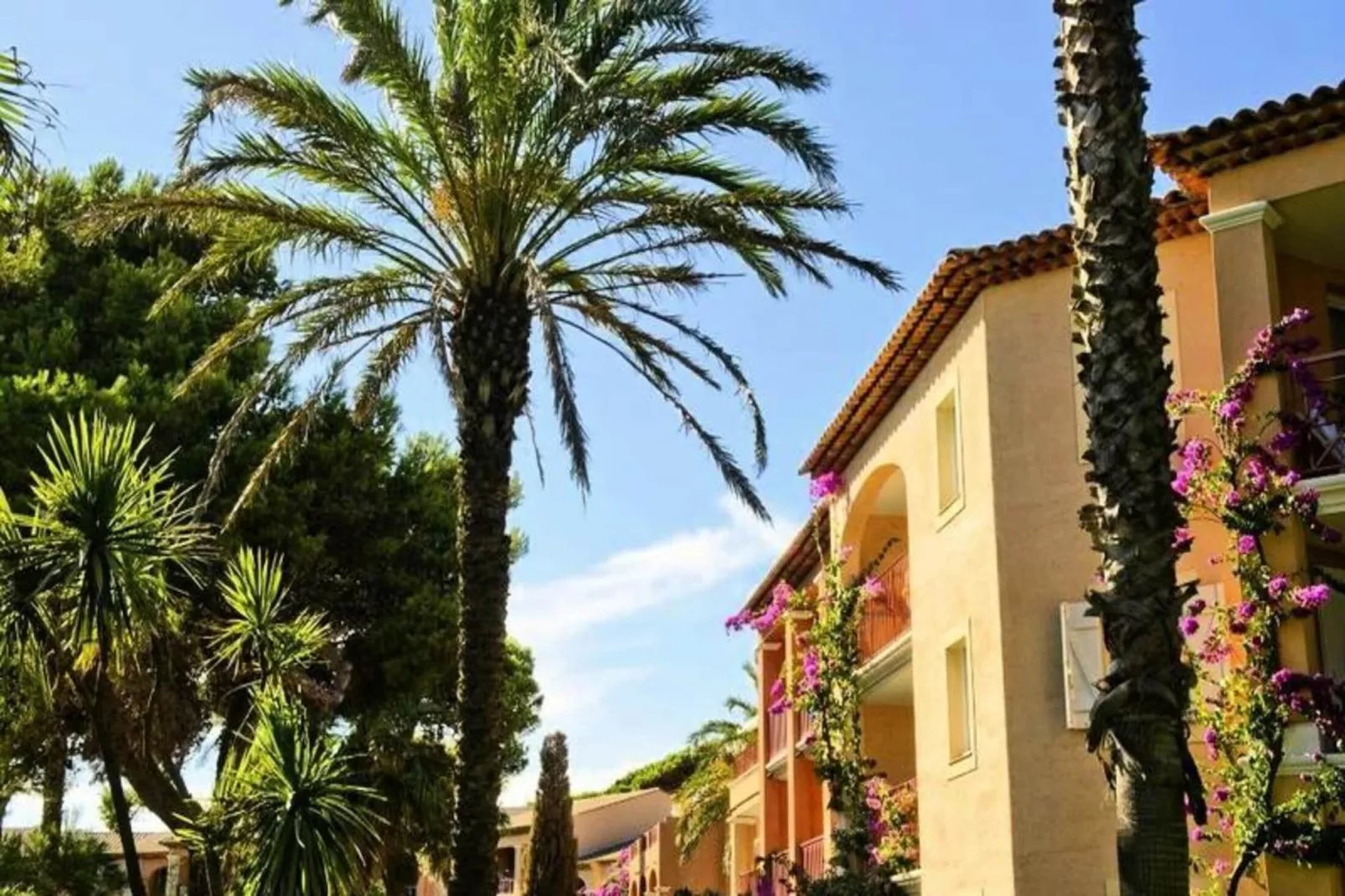 Résidence La Pinède - maeva Home-Gebieden zomer 5km