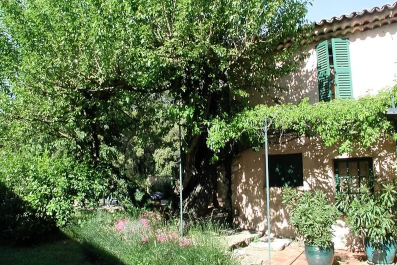 Les Messugues, Mas Proven&ccedil;al Typique Avec Piscine Partag&eacute;e, Nature, Calme-Image-tags.