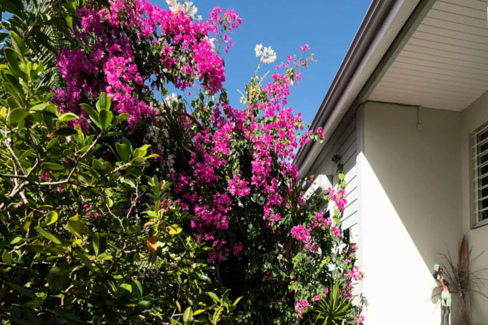 Villa Majoma-Image-tags.