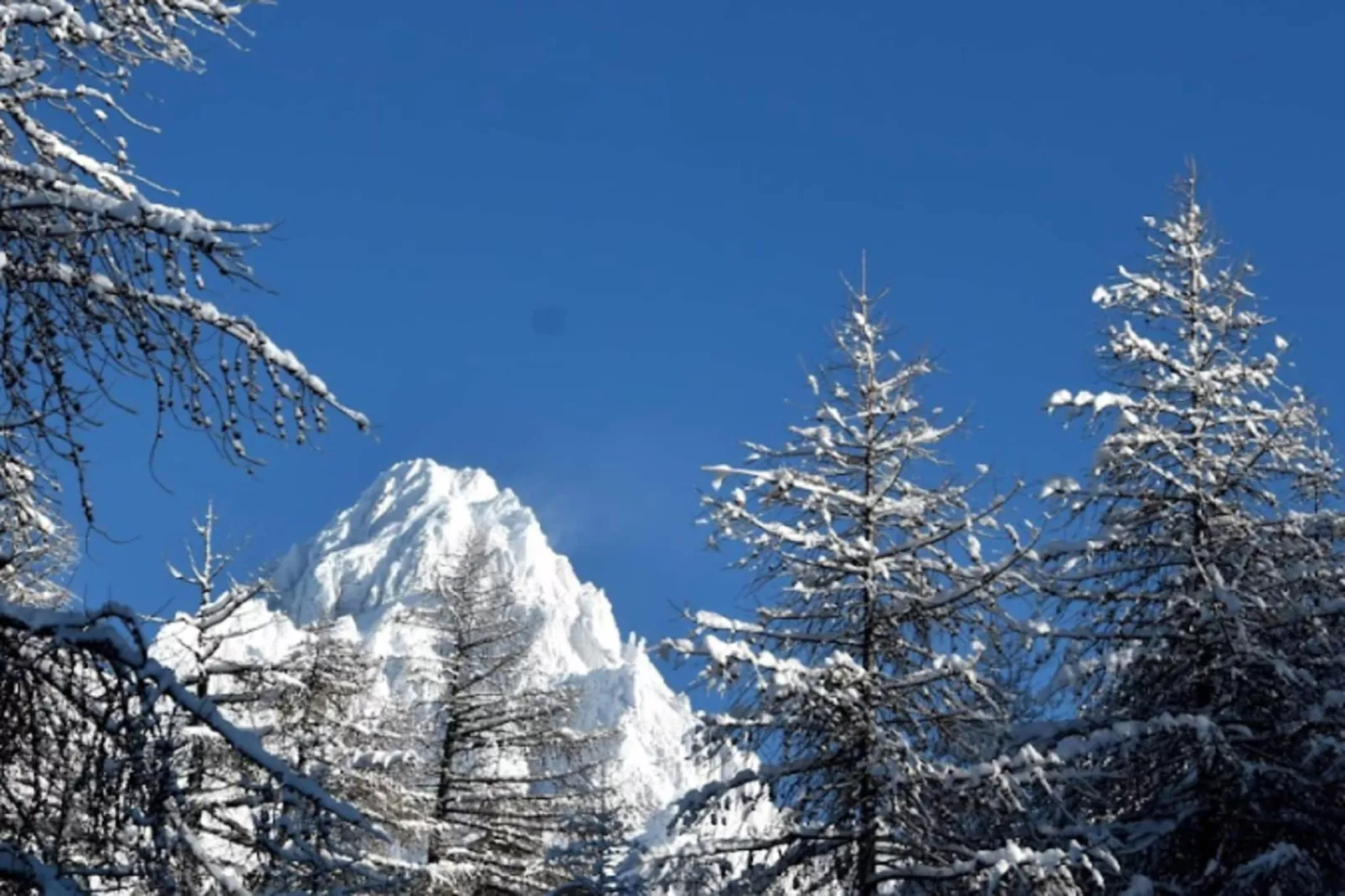 Résidence Casino-Gebied winter 5km