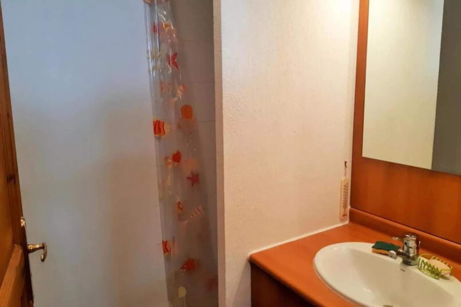 Résidence Balcon Des Pistes C-Badkamer