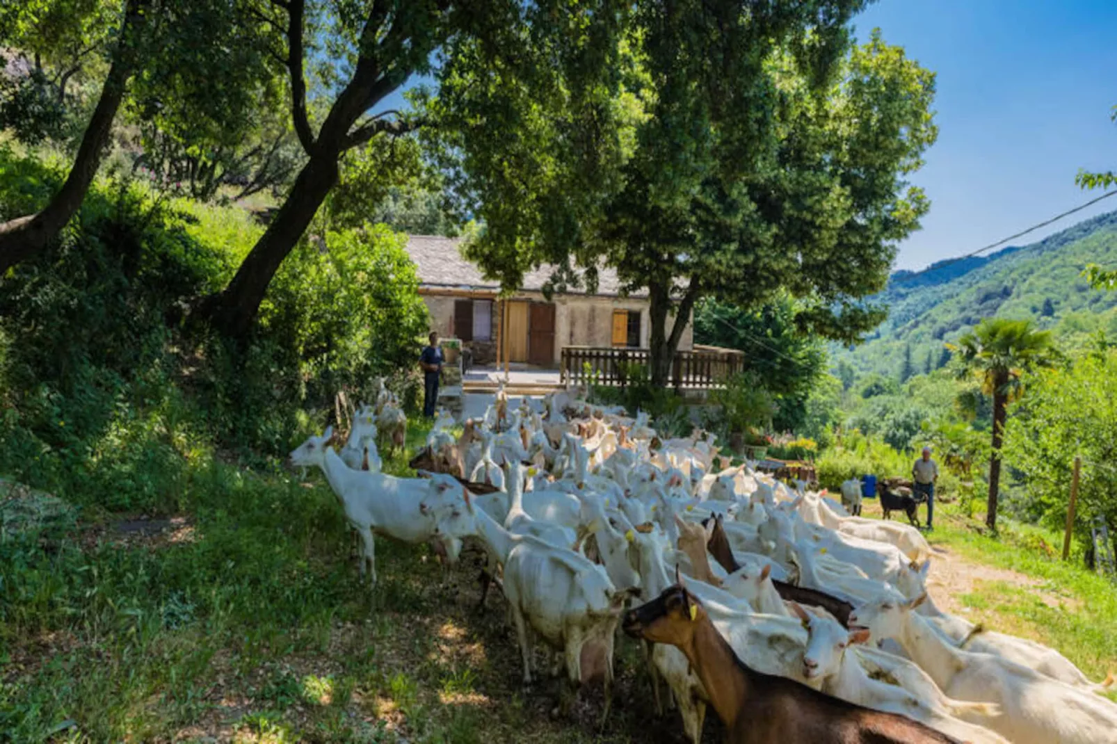 Gîte de France Gîtes de france 4/6 personnes à campéménard 2 épis-Image-tags.