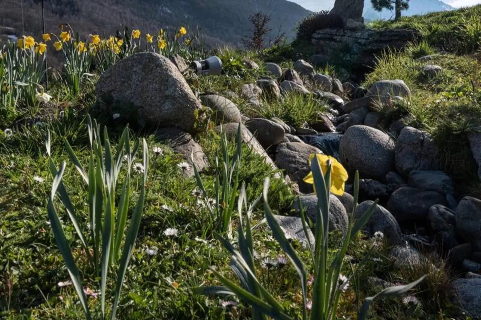 Résidence Clos Mirabelle-Gebieden zomer 1km