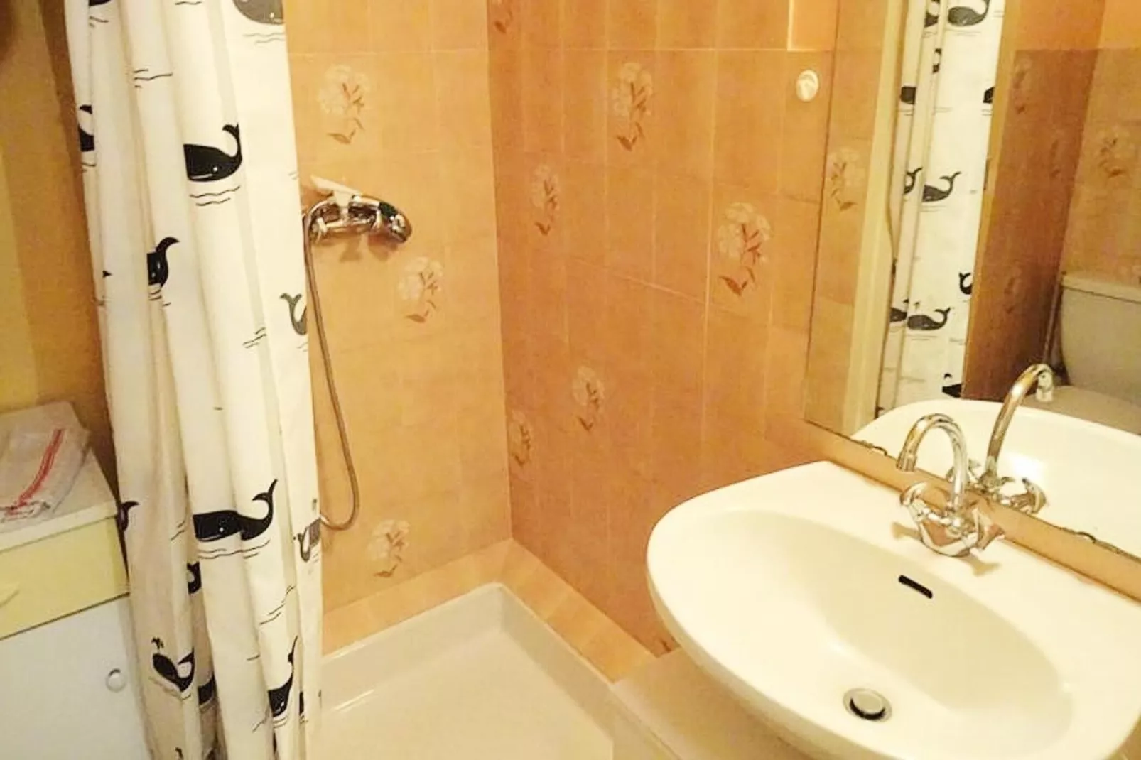 Résidence Le Chateau Durieux 4-Badkamer