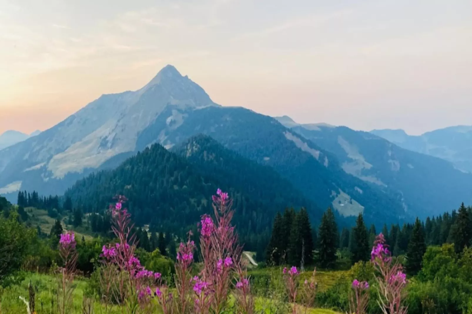 Résidence Les Campanules-Gebieden zomer 5km