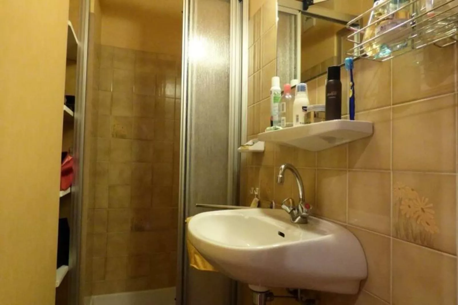 Résidence Arolles-Badkamer