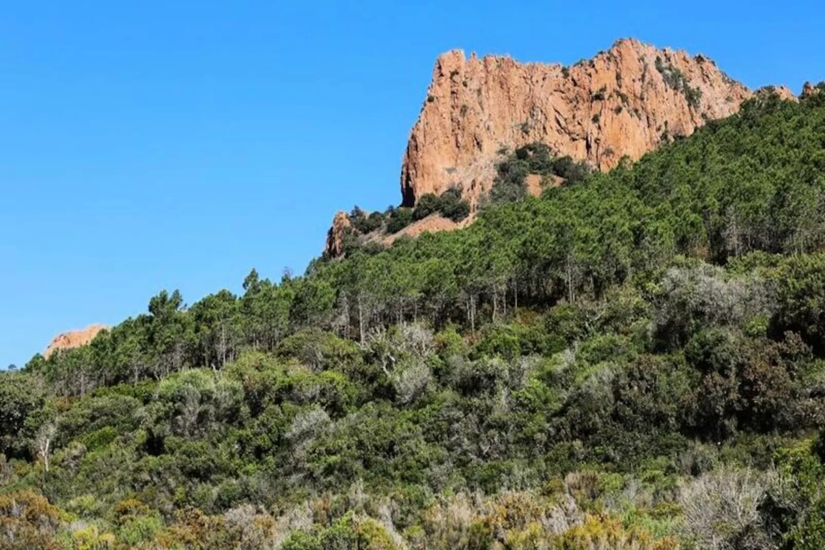 SOWELL Family Riviera****-Image-tags.