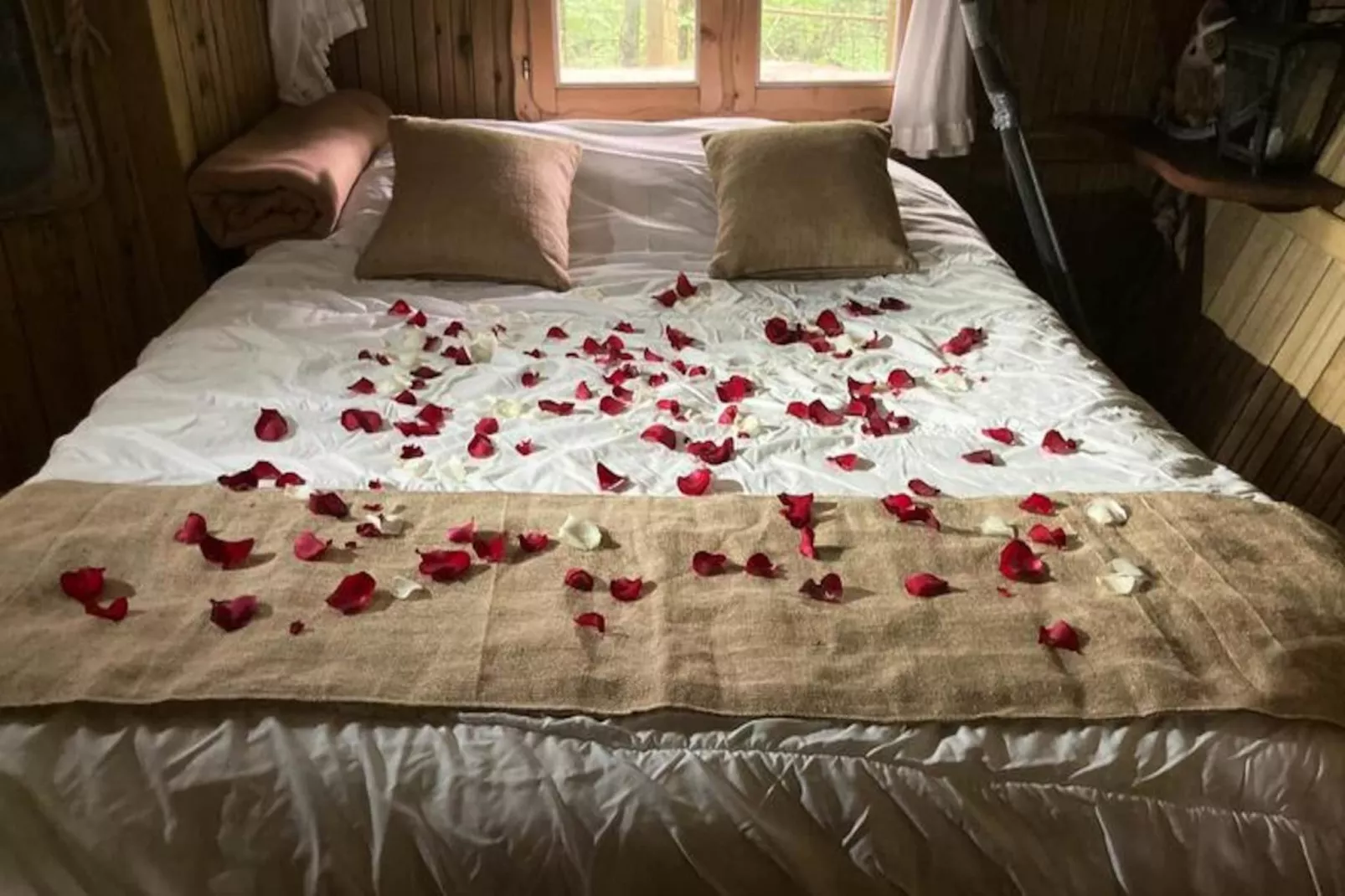 Parc de la Belle-Image-tags.