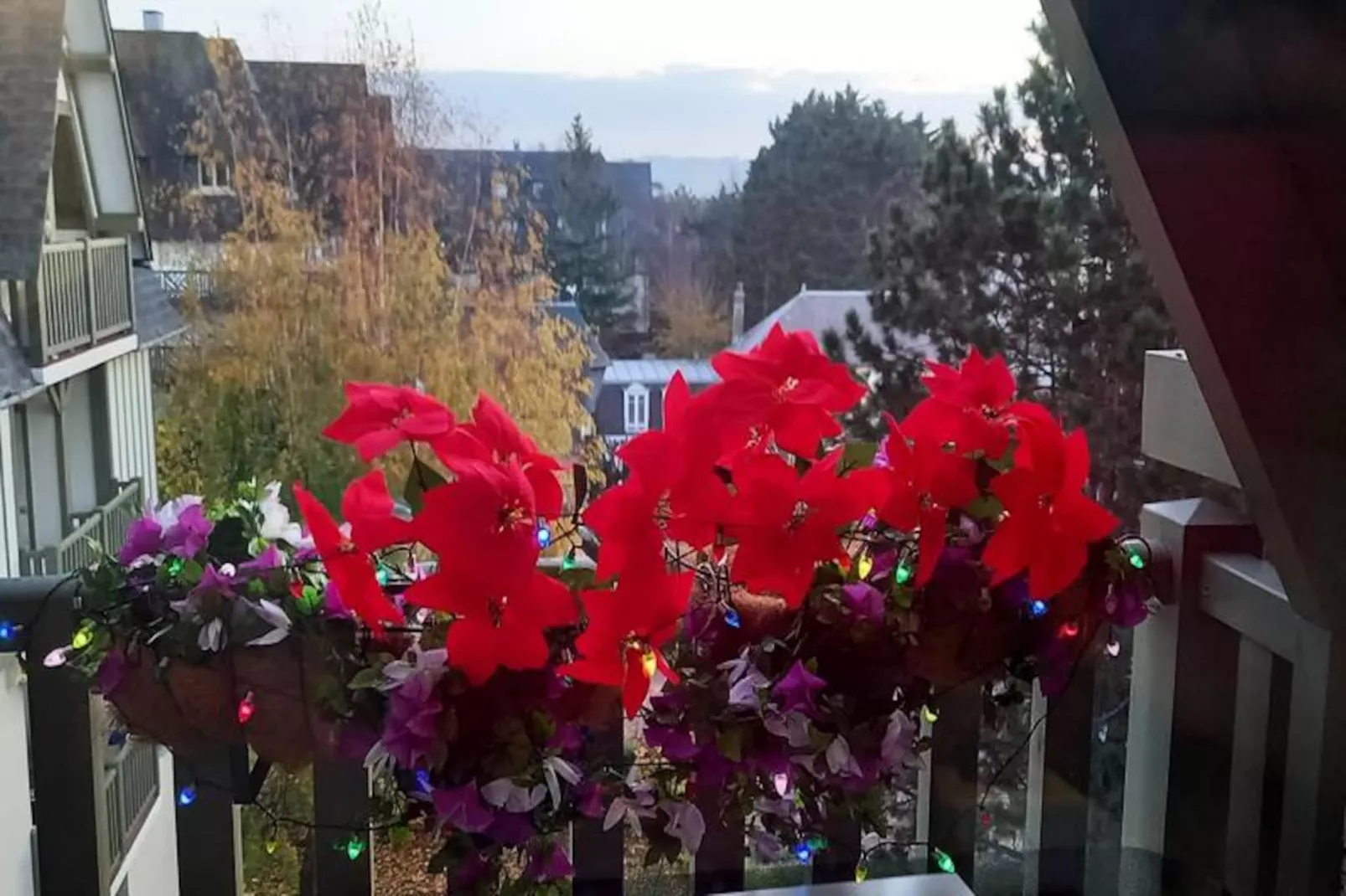 Résidence Les Embruns - maeva Home-Image-tags.