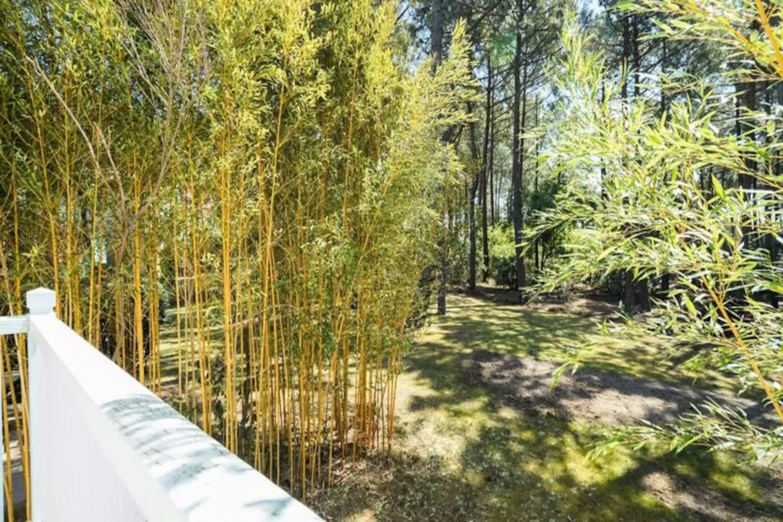 Les Maisons de Lacanau les Pins - maeva Home-Image-tags.