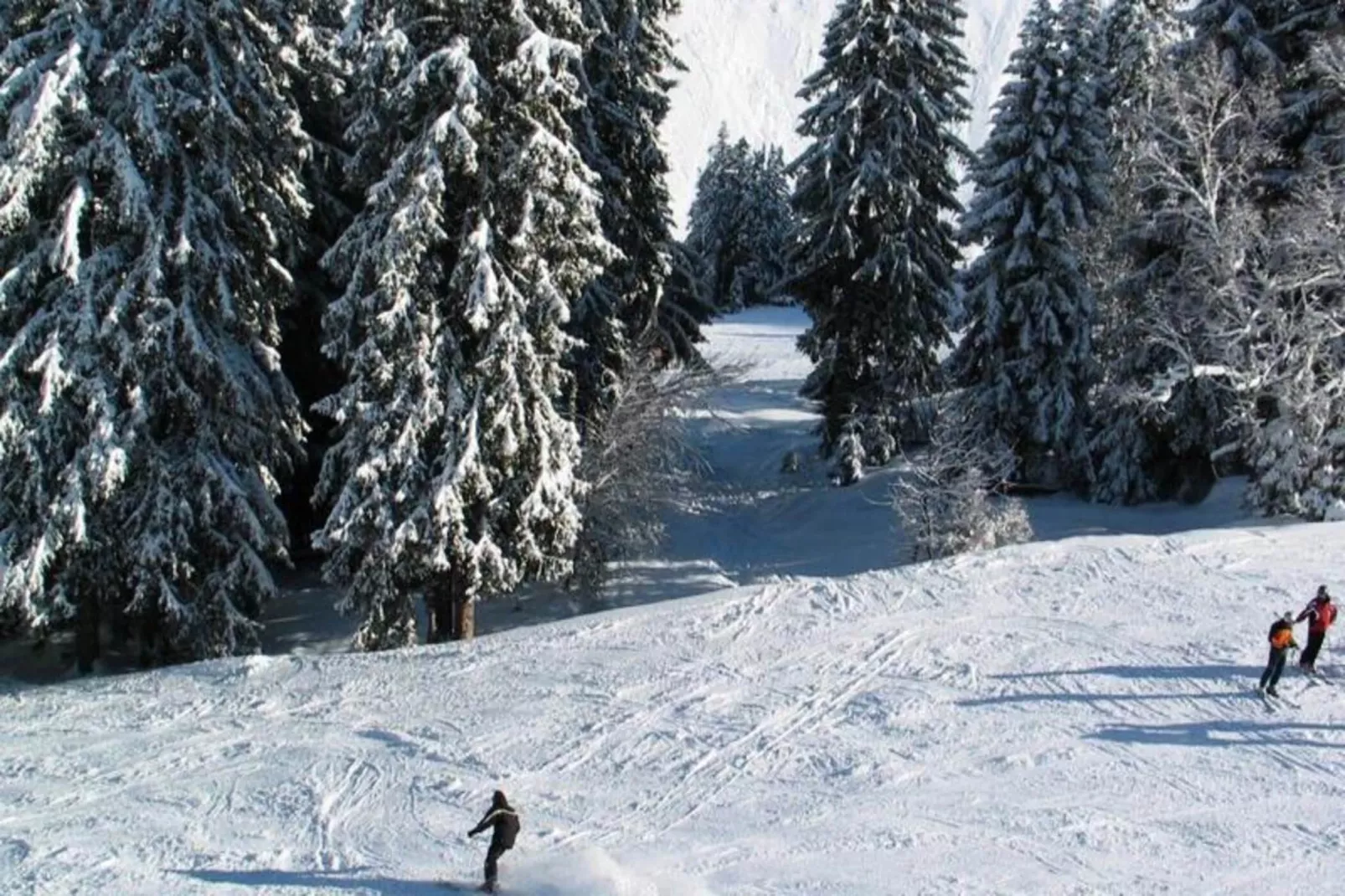 Résidence Casino-Gebied winter 5km