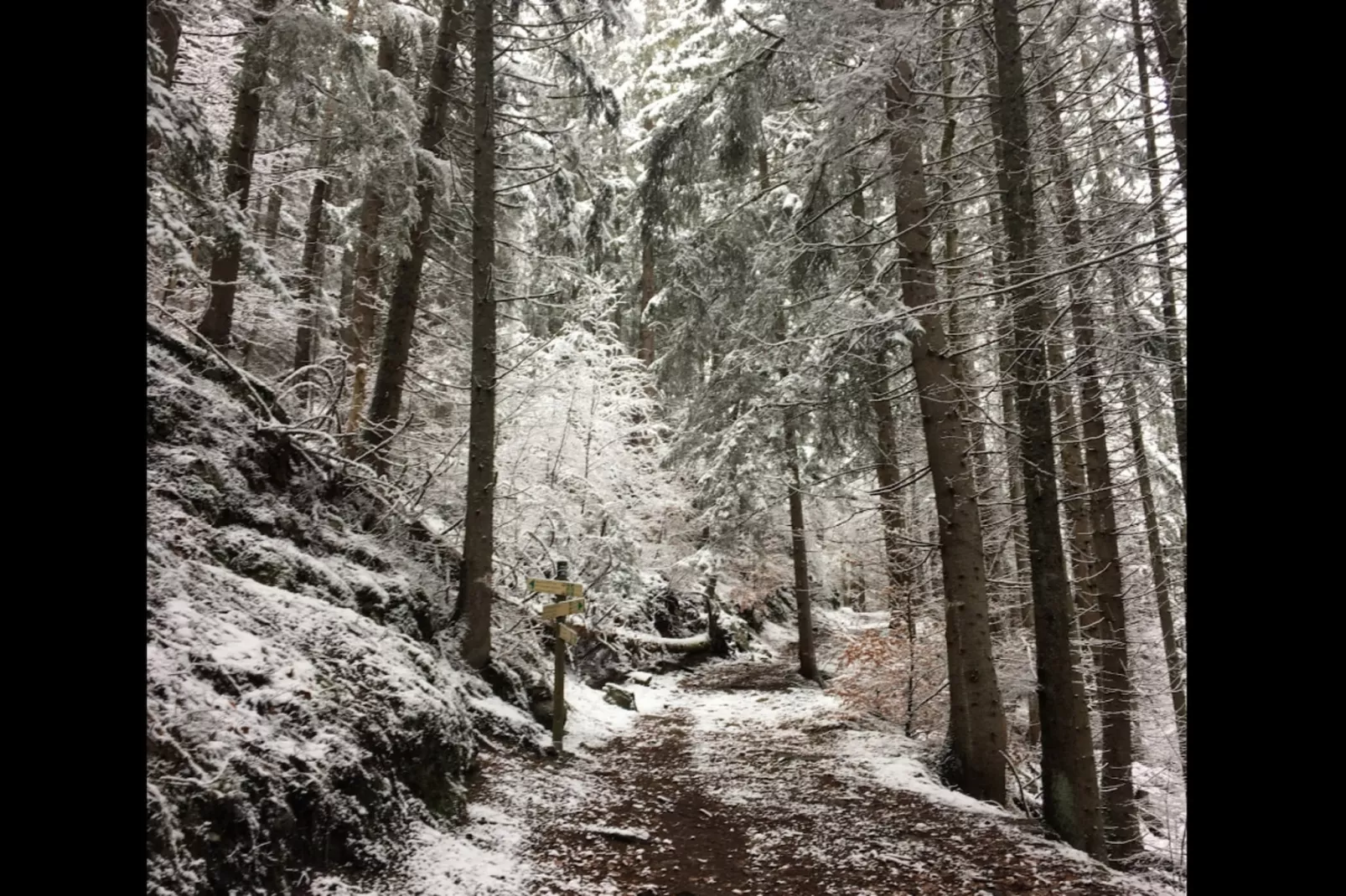 Résidence Aigle Royal-Gebied winter 5km