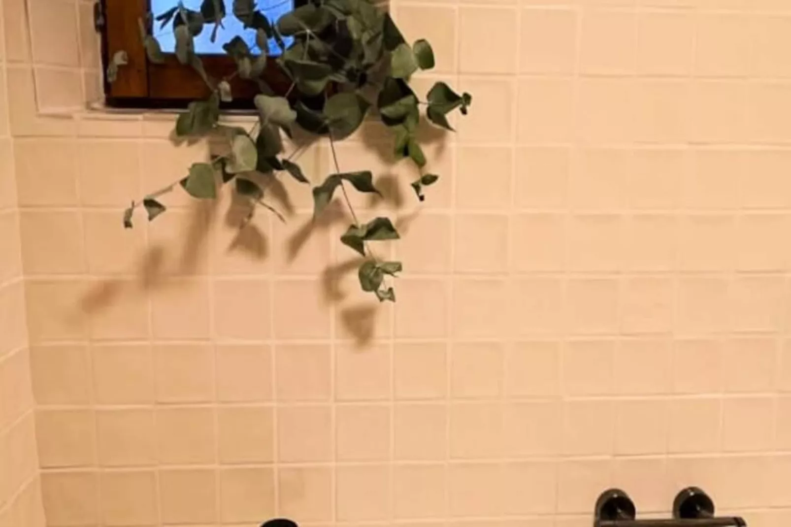 Double Villa Familiale 12 Pers, Piscine - Cannes-Image-tags.