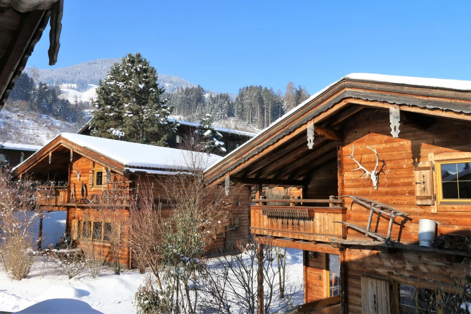 Chalets Almdorf Zillertal Fügen-Haus 10 Personen-Exterieur winter