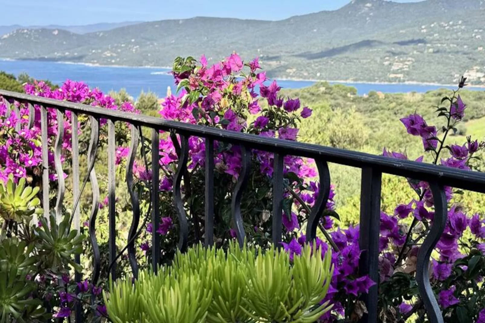 Résidence Les Hameaux-Image-tags.