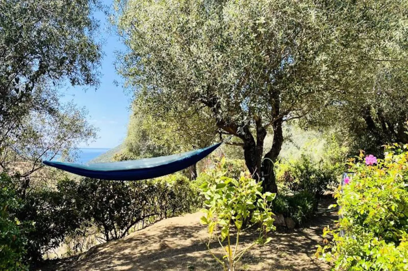 Résidence Hsain001-olmeto-Image-tags.