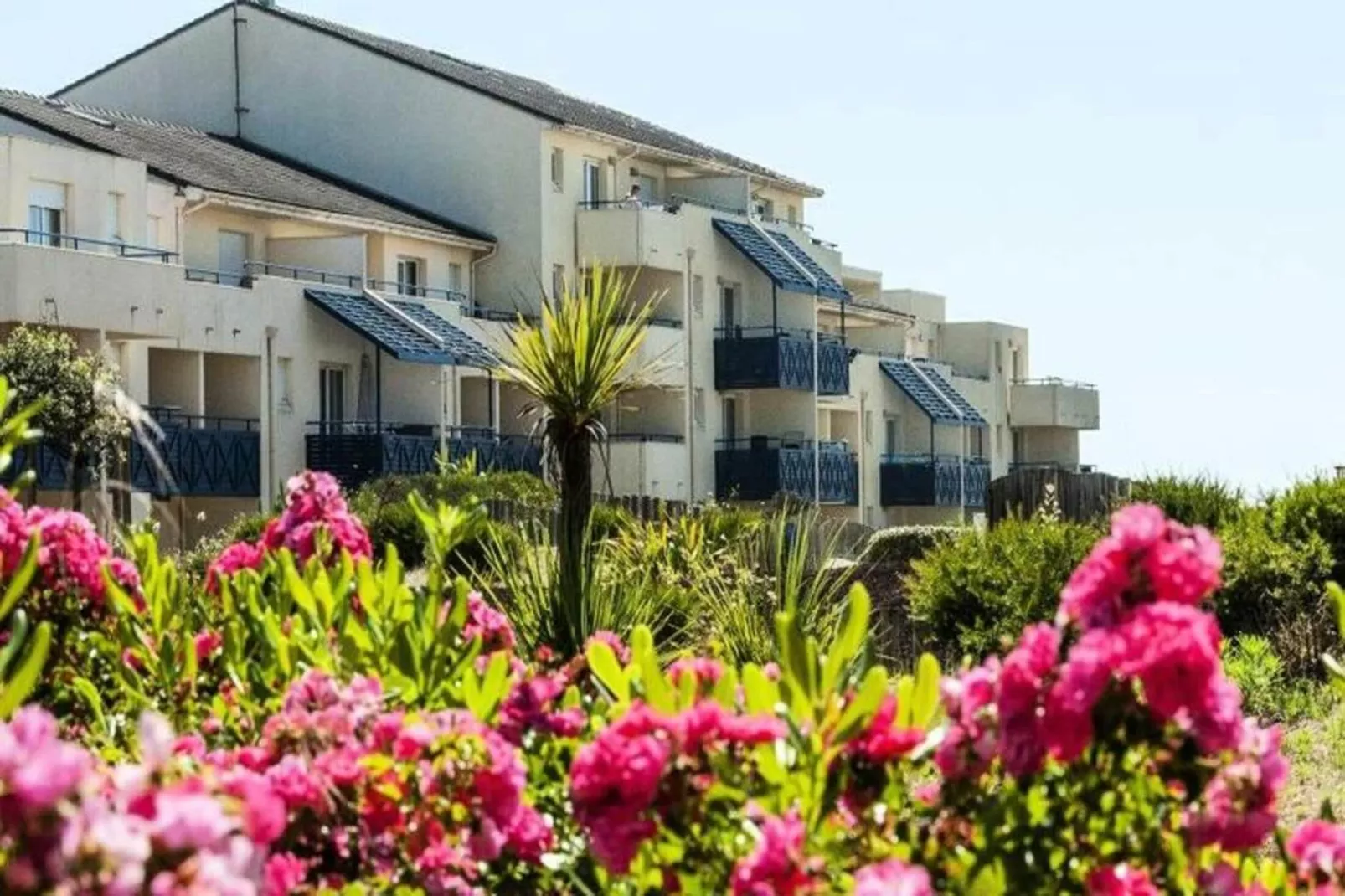 Résidence Bleu Marine - maeva Home-Tuinen zomer