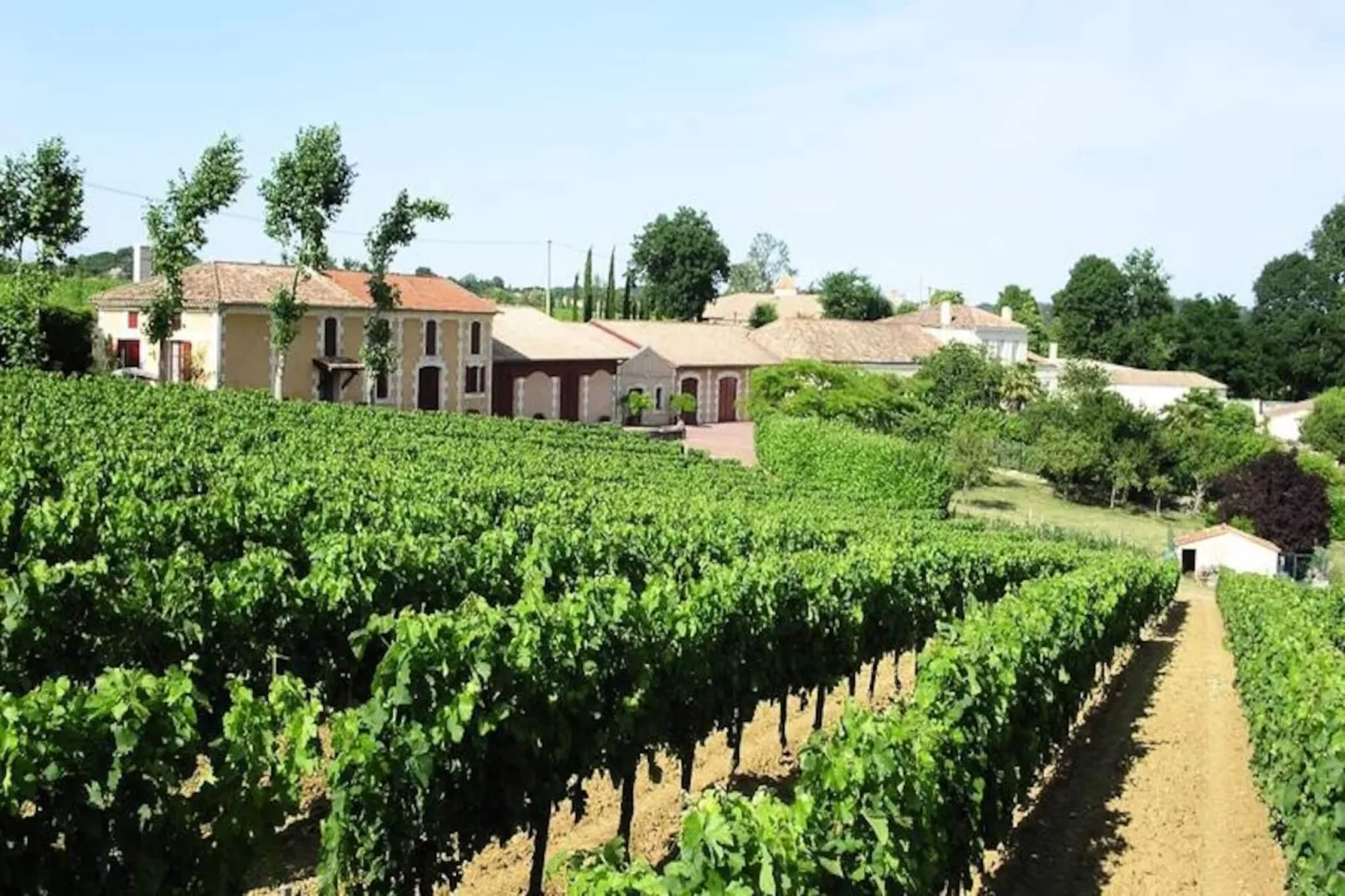 Ch&acirc;teau La Tuili&egrave;re: Villa Avec Piscine Au Milieu De Son Vignoble-Image-tags.