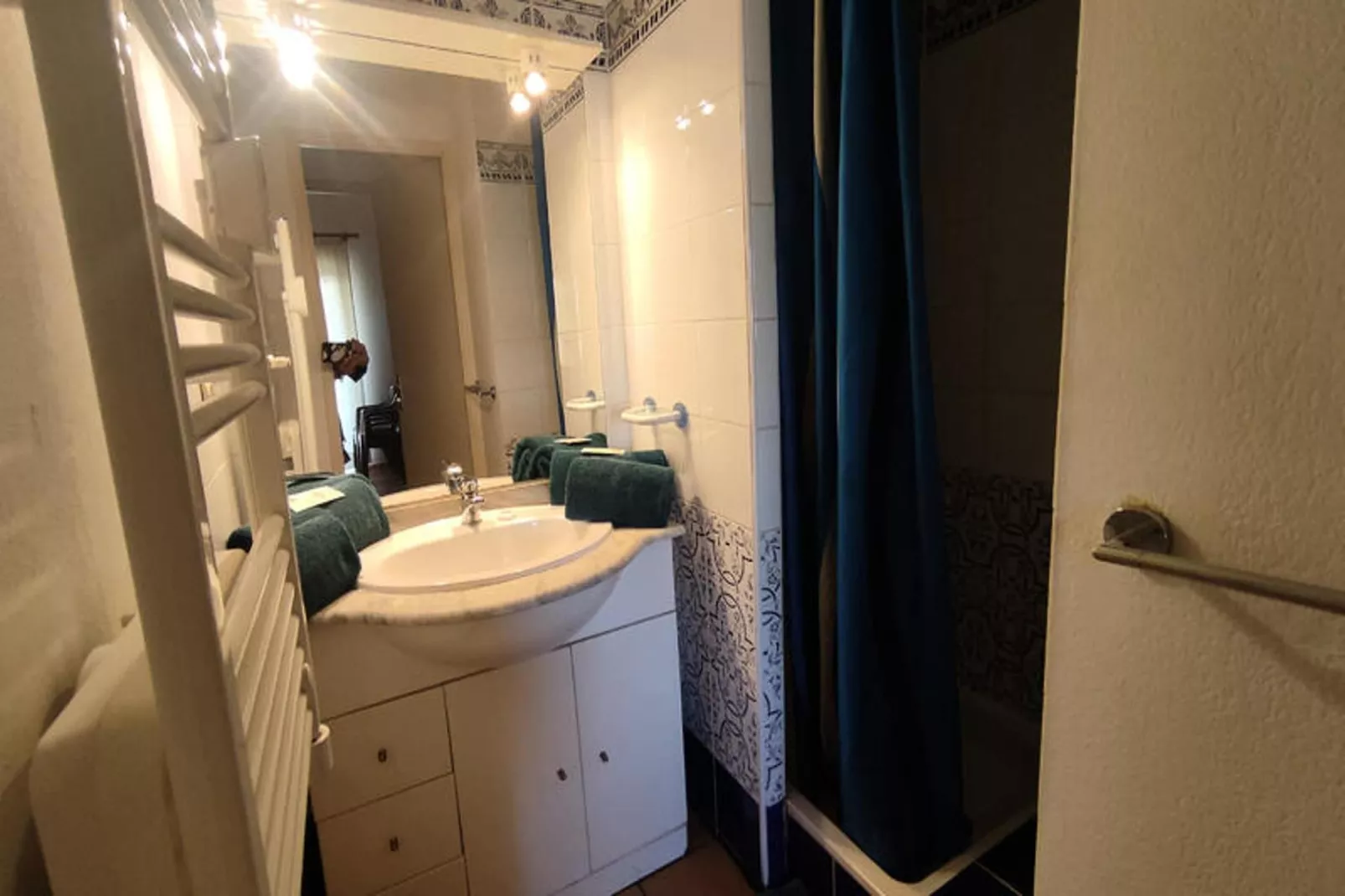 Résidence NATURISTE LA PALMERAIE-Badkamer