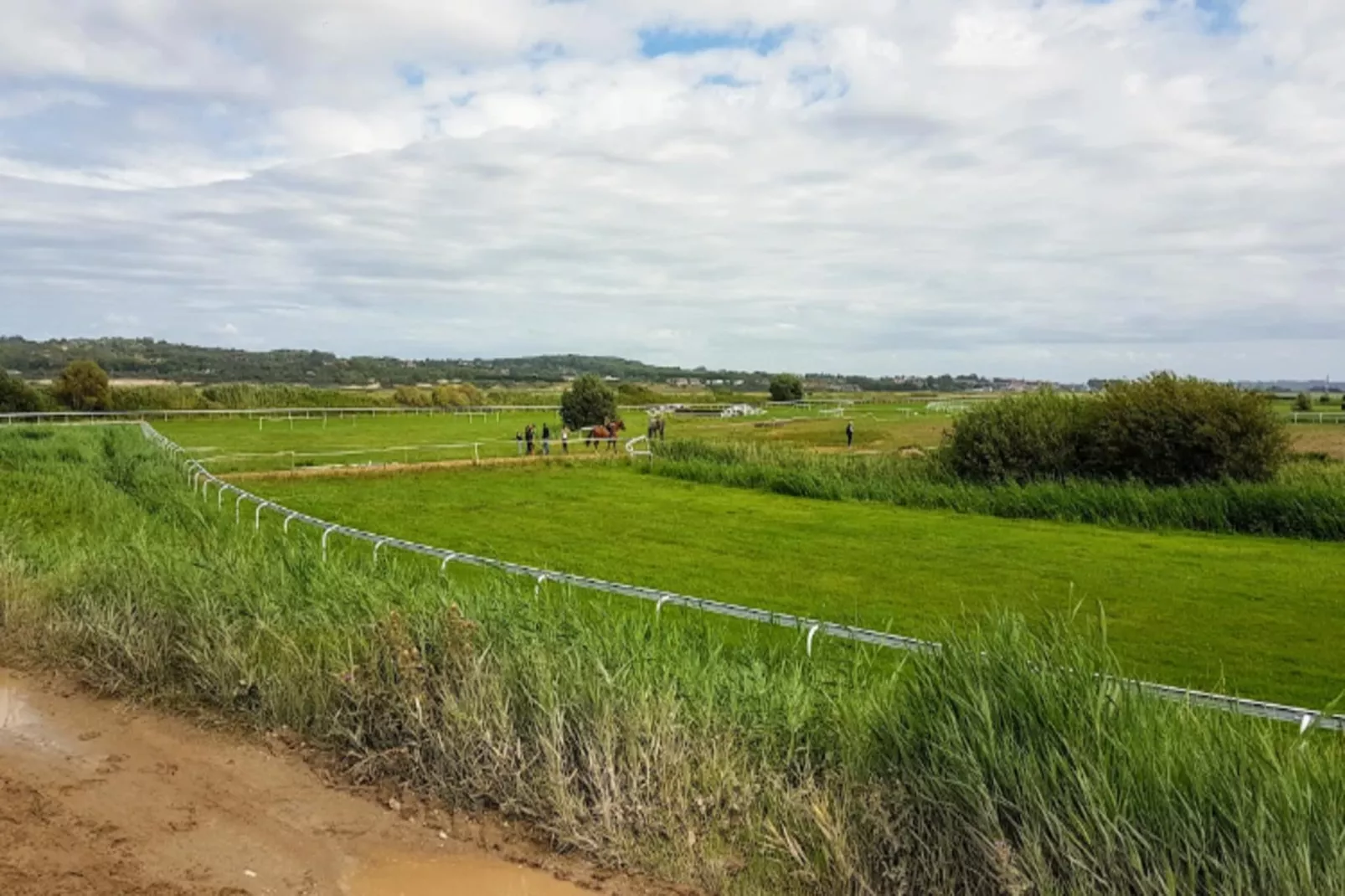 Résidence Bel Appartement 5 Pers Avec Piscine, Tennis Et Parking 236-Buitenkant zomer