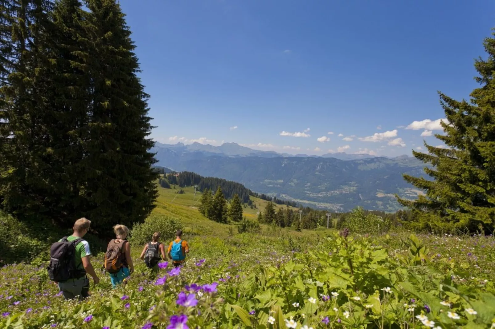 Résidence Odalys Le Buet**-Gebied winter 5km