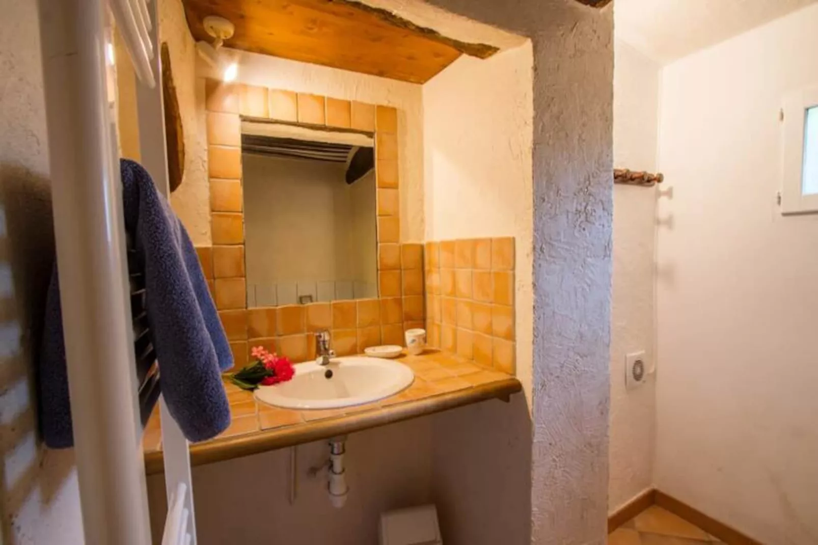 Les Messugues, Mas Proven&ccedil;al Typique Avec Piscine Partag&eacute;e, Nature, Calme-Image-tags.