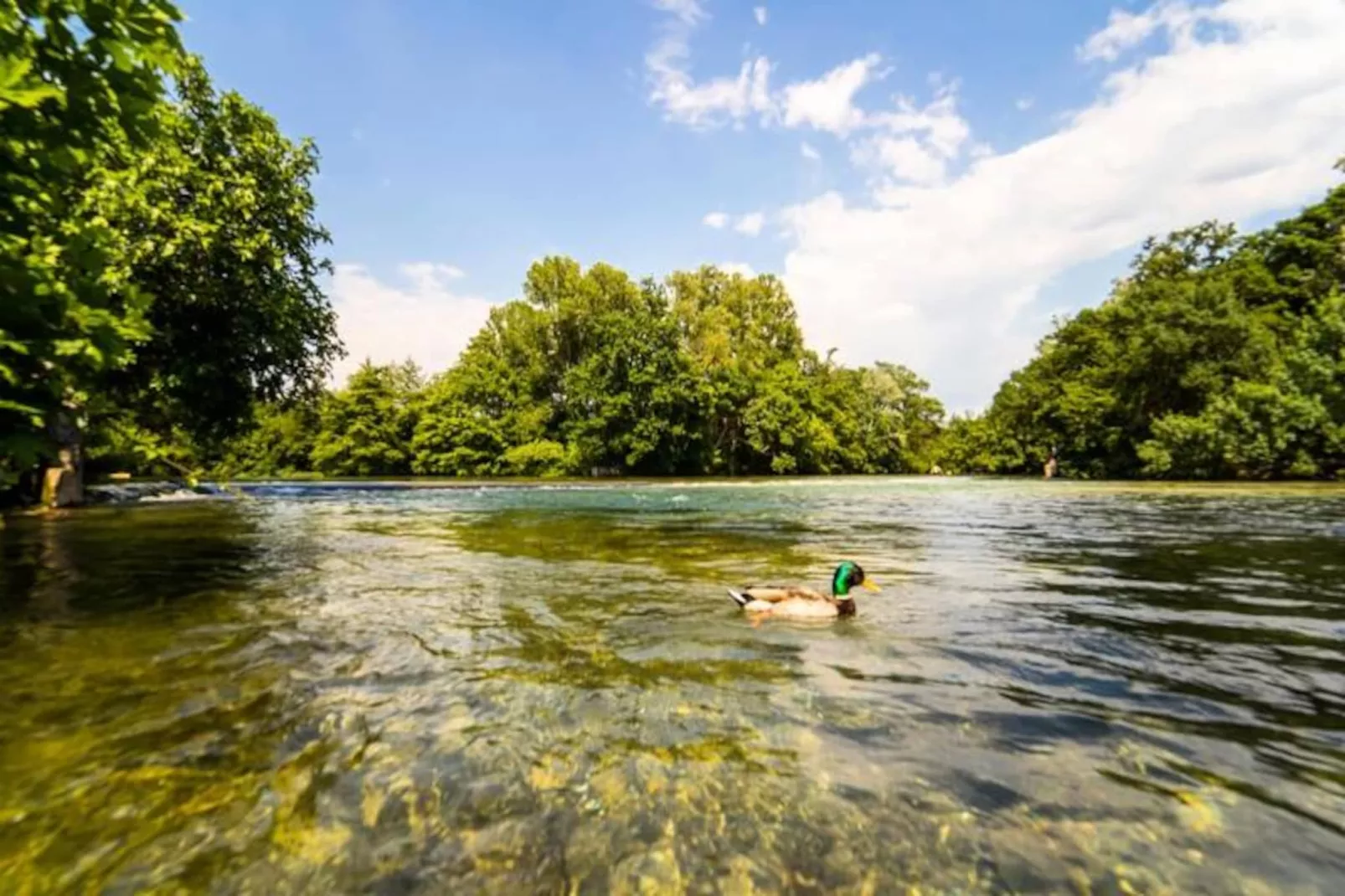 Maison En Pierre Proche Du Centre Ville-Image-tags.