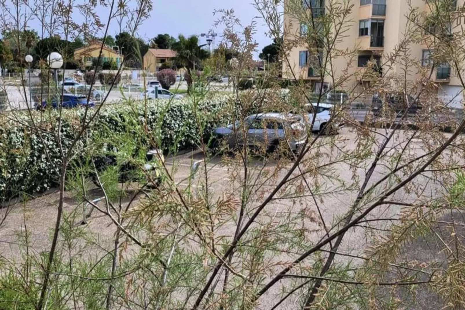 Résidence La Cigale De Mer &agrave; 100 M De La Plage Et Du Centre Ville Du Grau Du Roi-Uitzicht zomer