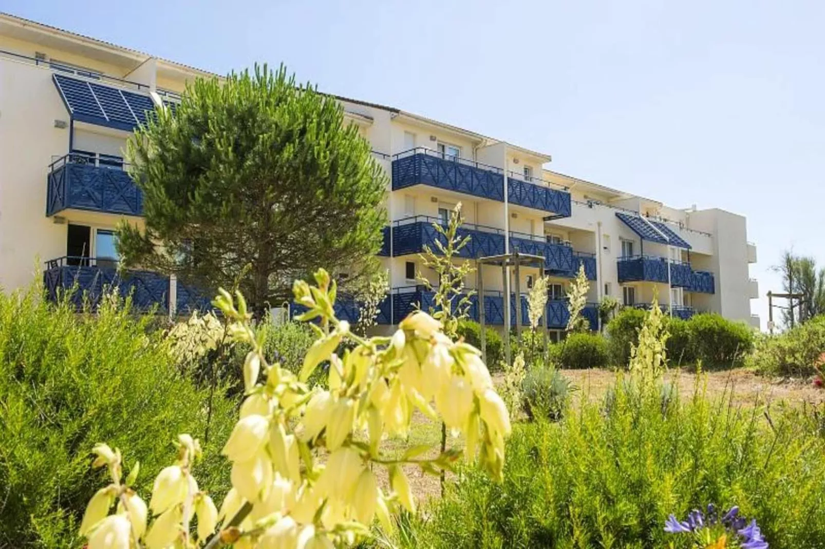 Résidence Bleu Marine - maeva Home-Buitenkant zomer