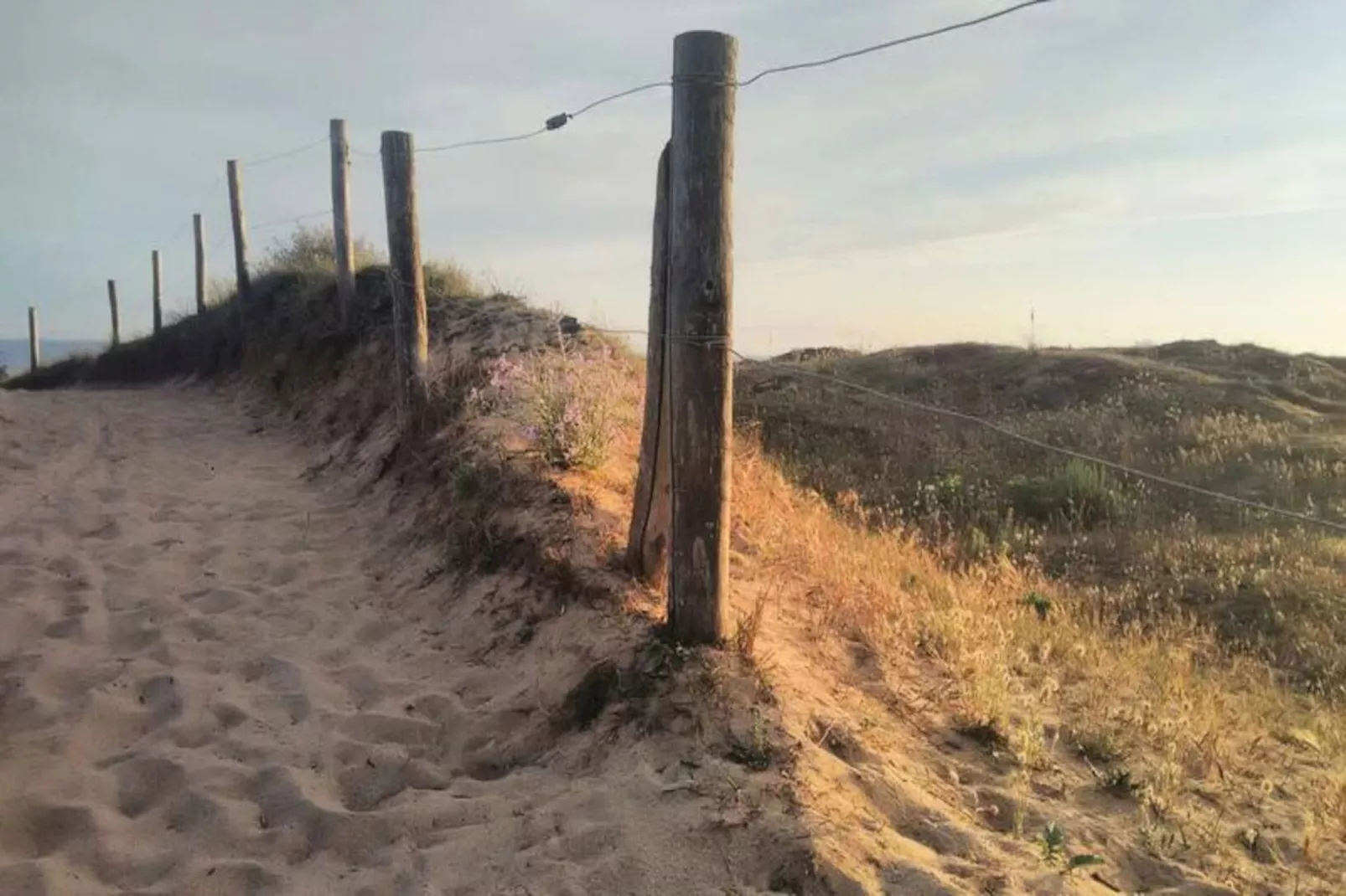 Résidence Cap Marine-Image-tags.