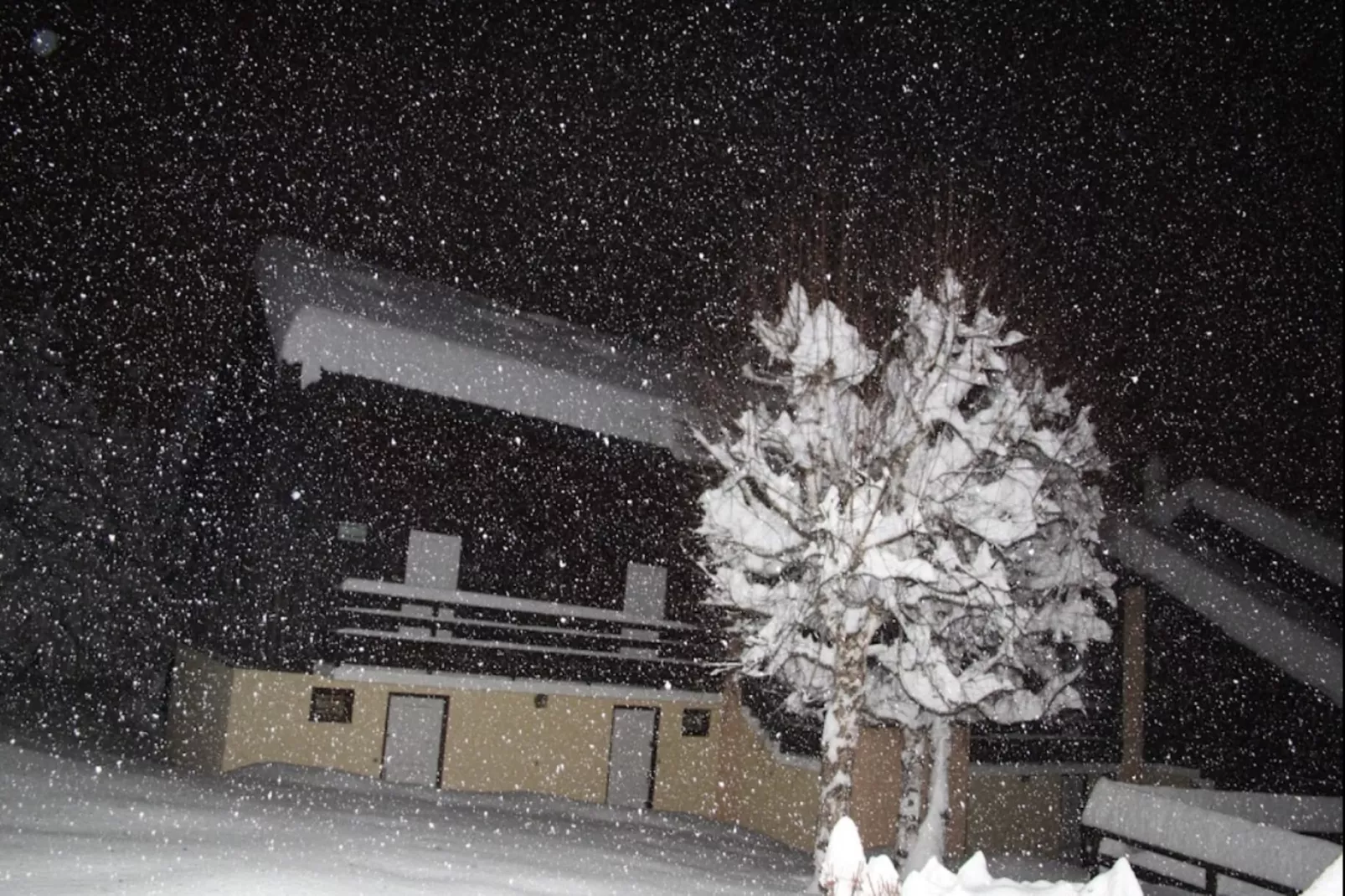 Résidence Les Ruches - maeva Home-Gebied winter 5km