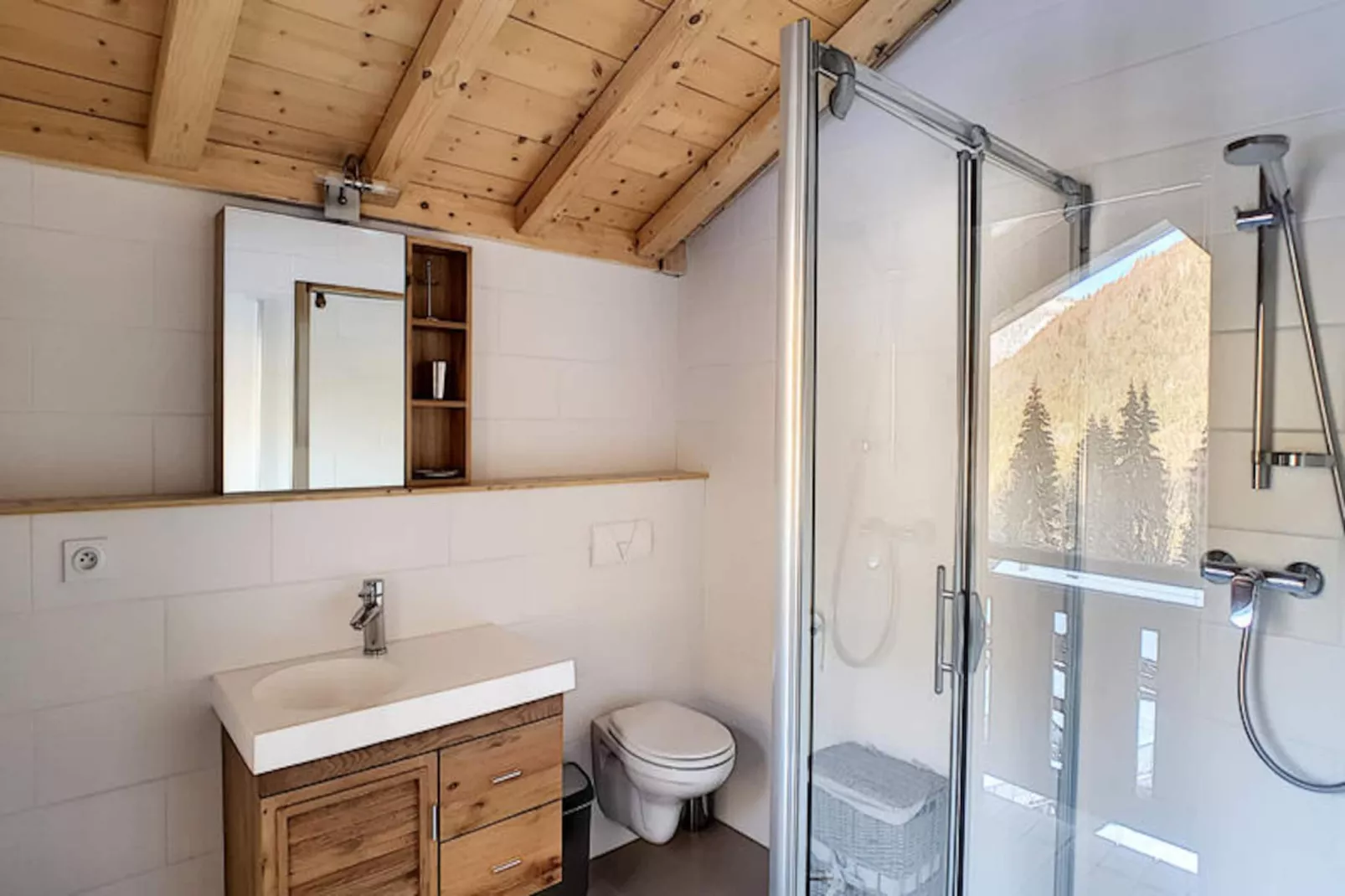 Chalets à Saint Jean d'Aulps-Image-tags.