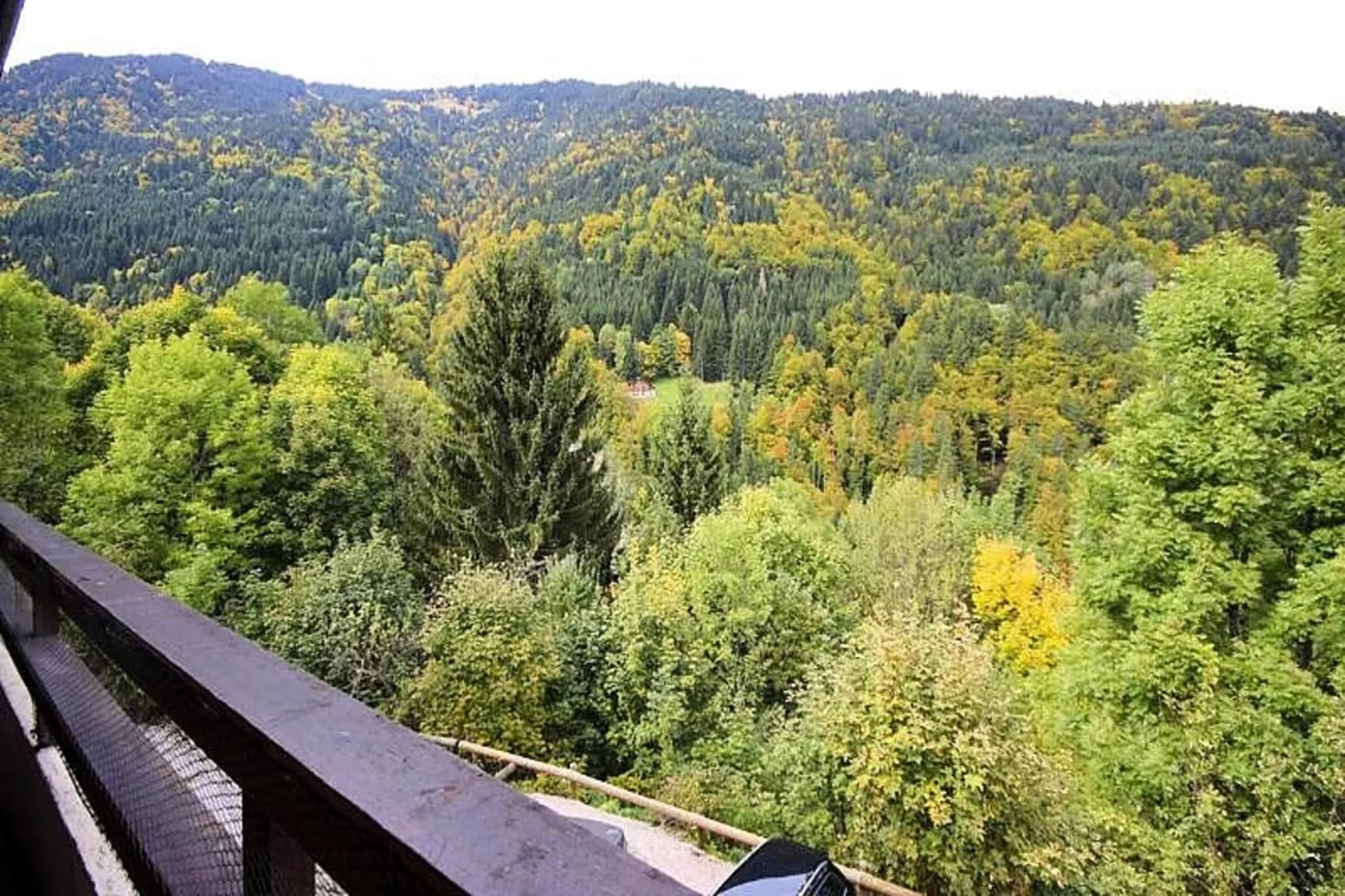 Appartements à Saint Jean d'Aulps-Uitzicht zomer