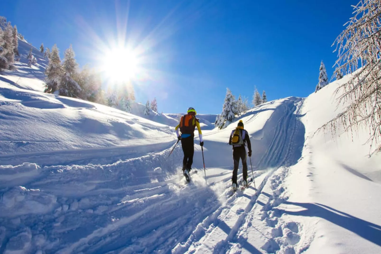 Appartements à Saint Jean d'Aulps-Image-tags.