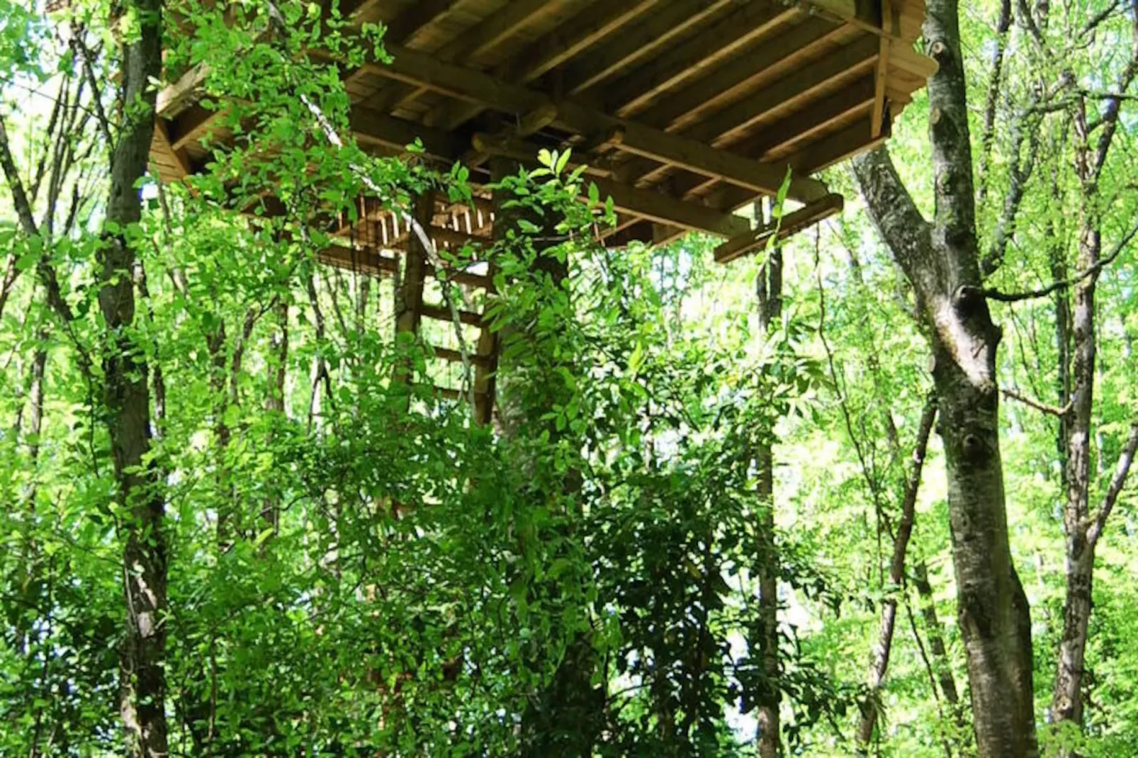 Parc de la Belle-Image-tags.