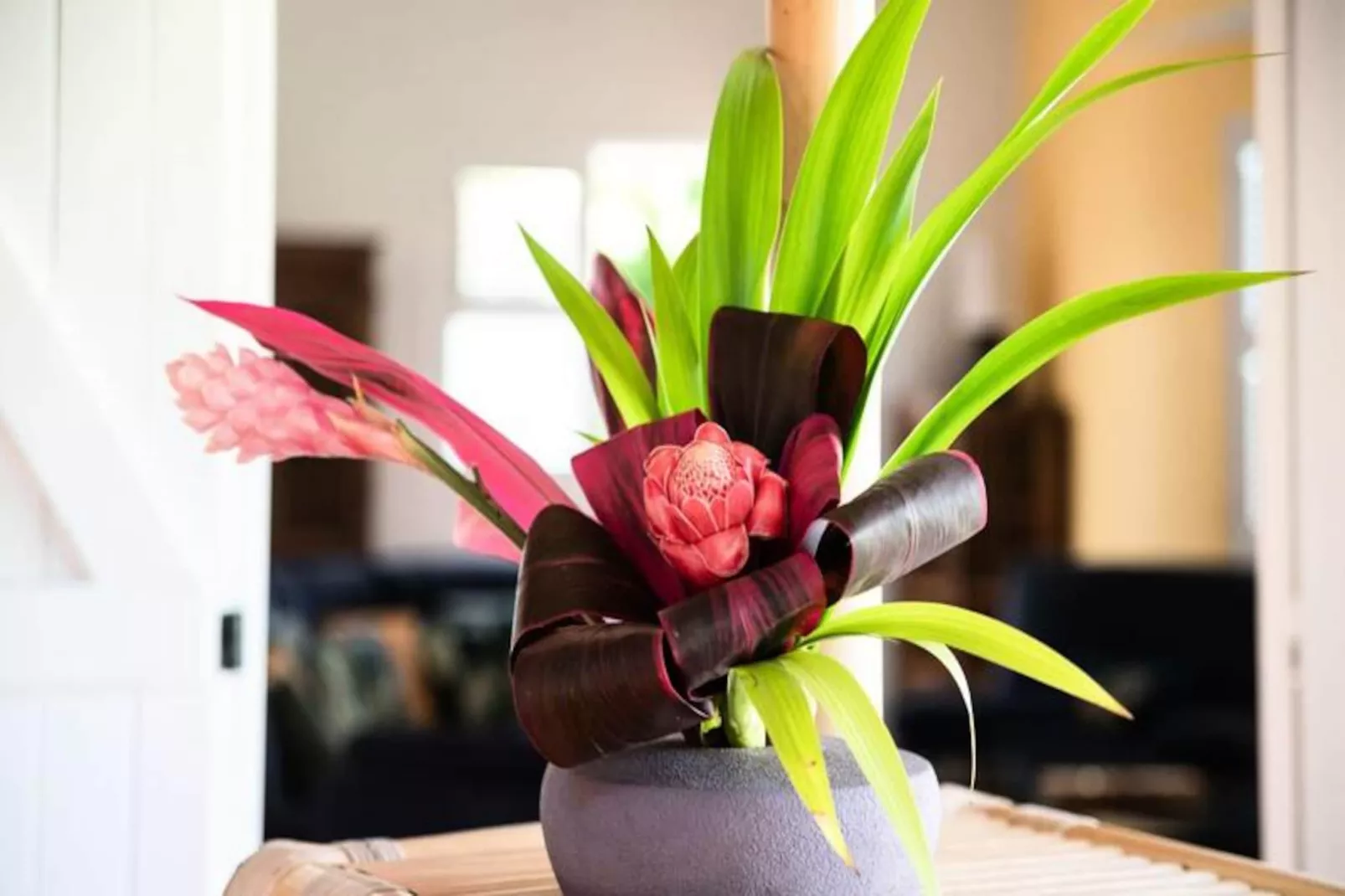 Villa Ladouchka-Image-tags.