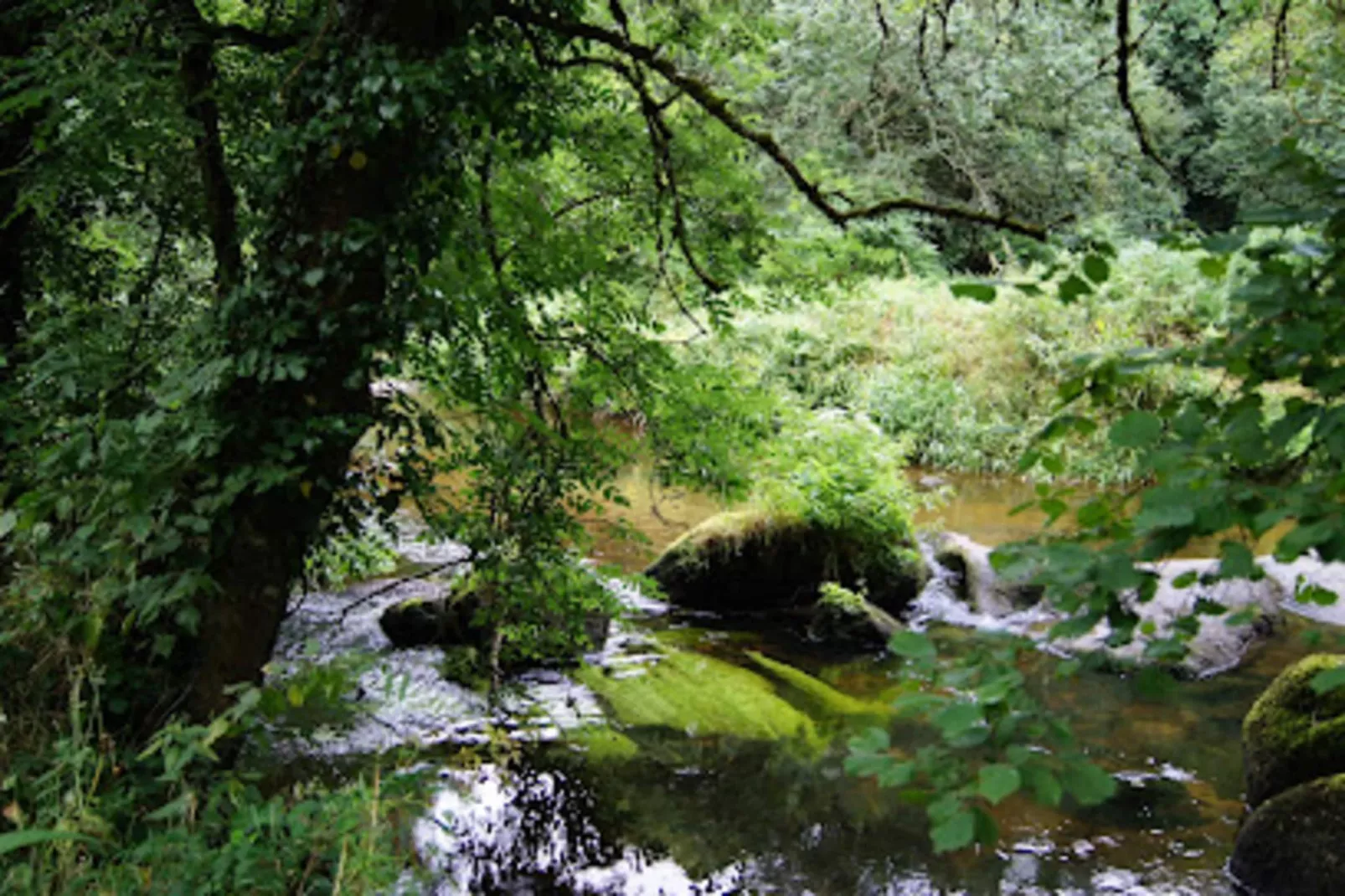 Résidence Les Goelands-Buitenkant zomer