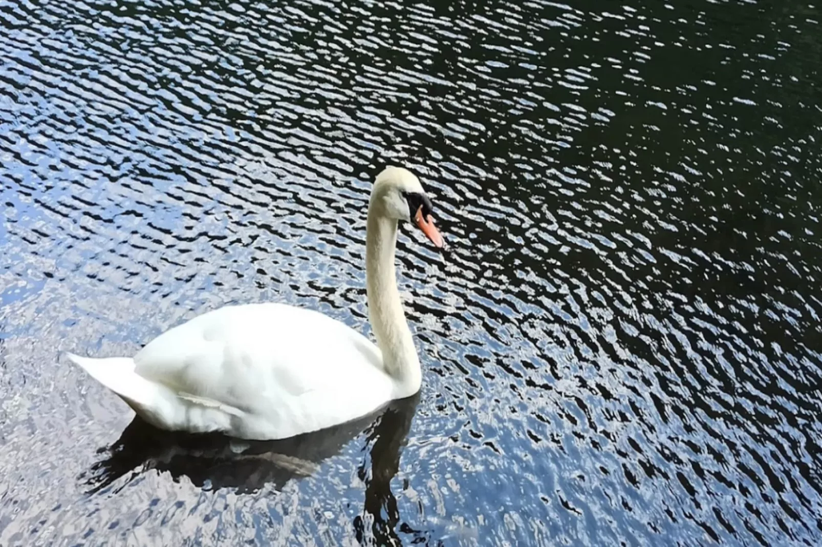 Résidence Grand Hotel-Gebieden zomer 5km