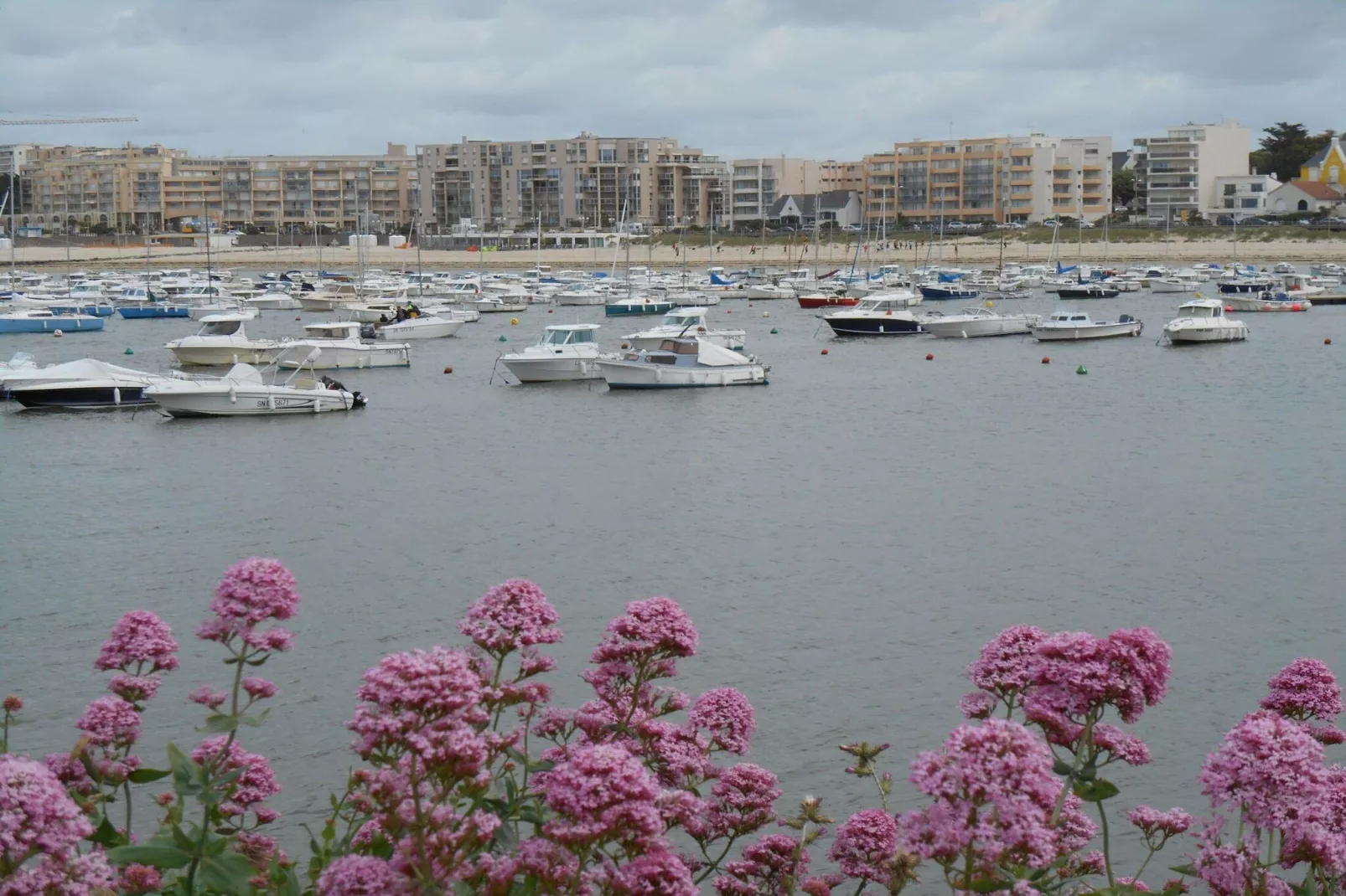 Résidence Prestige Odalys de la Plage-Gebieden zomer 5km
