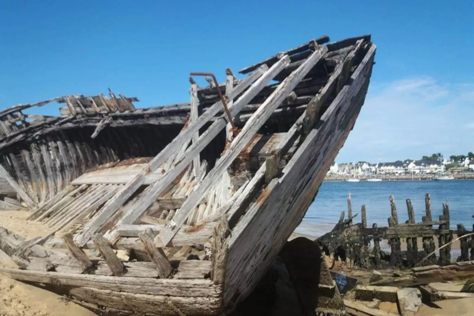 Résidence Cap Marine-Image-tags.