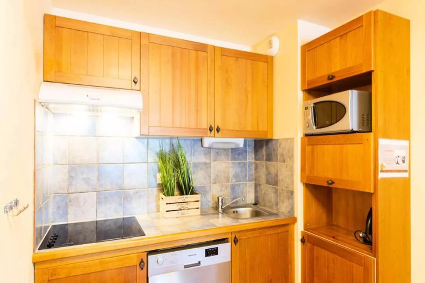 Résidence Cami Real-Keuken