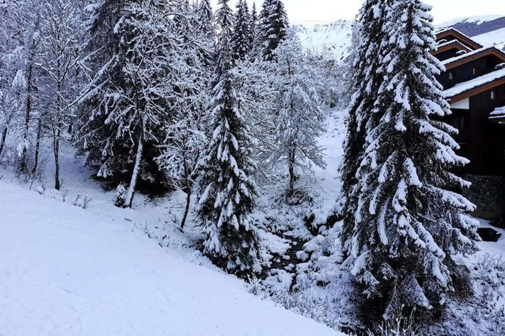 Résidence Ruisseau-Gebied winter 1km