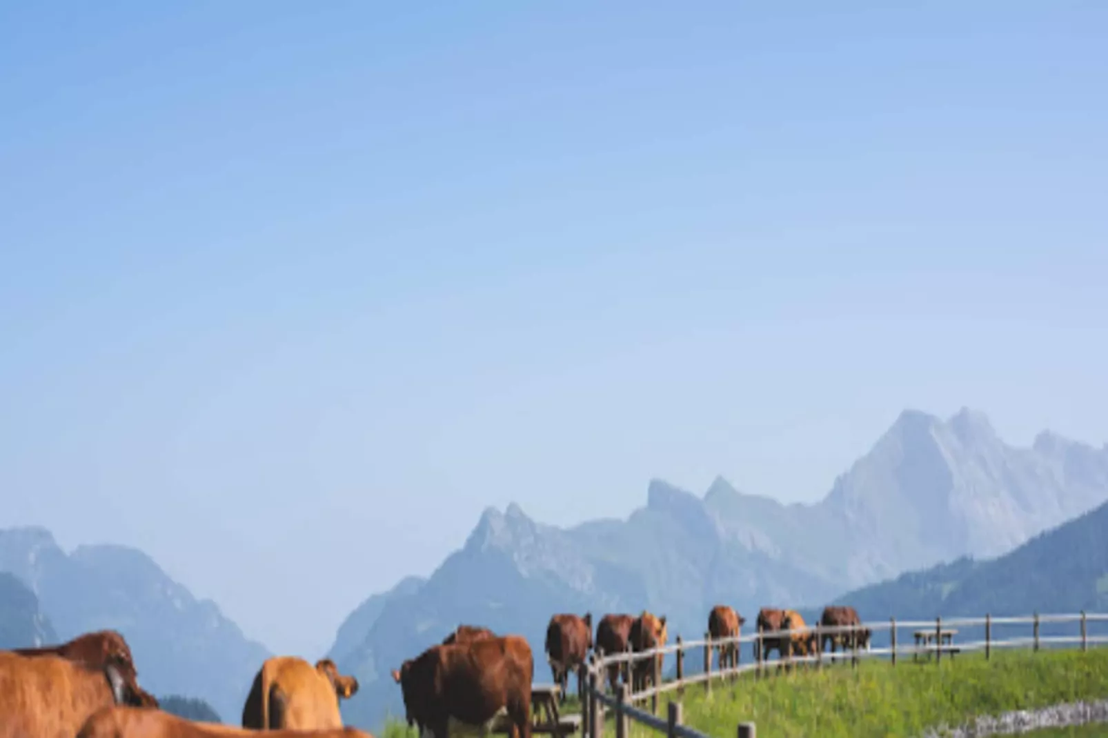 Résidence Aravis 1500-Uitzicht zomer