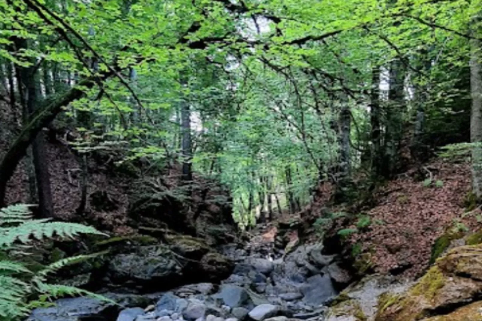 Appartements à La Clusaz-Gebied winter 5km