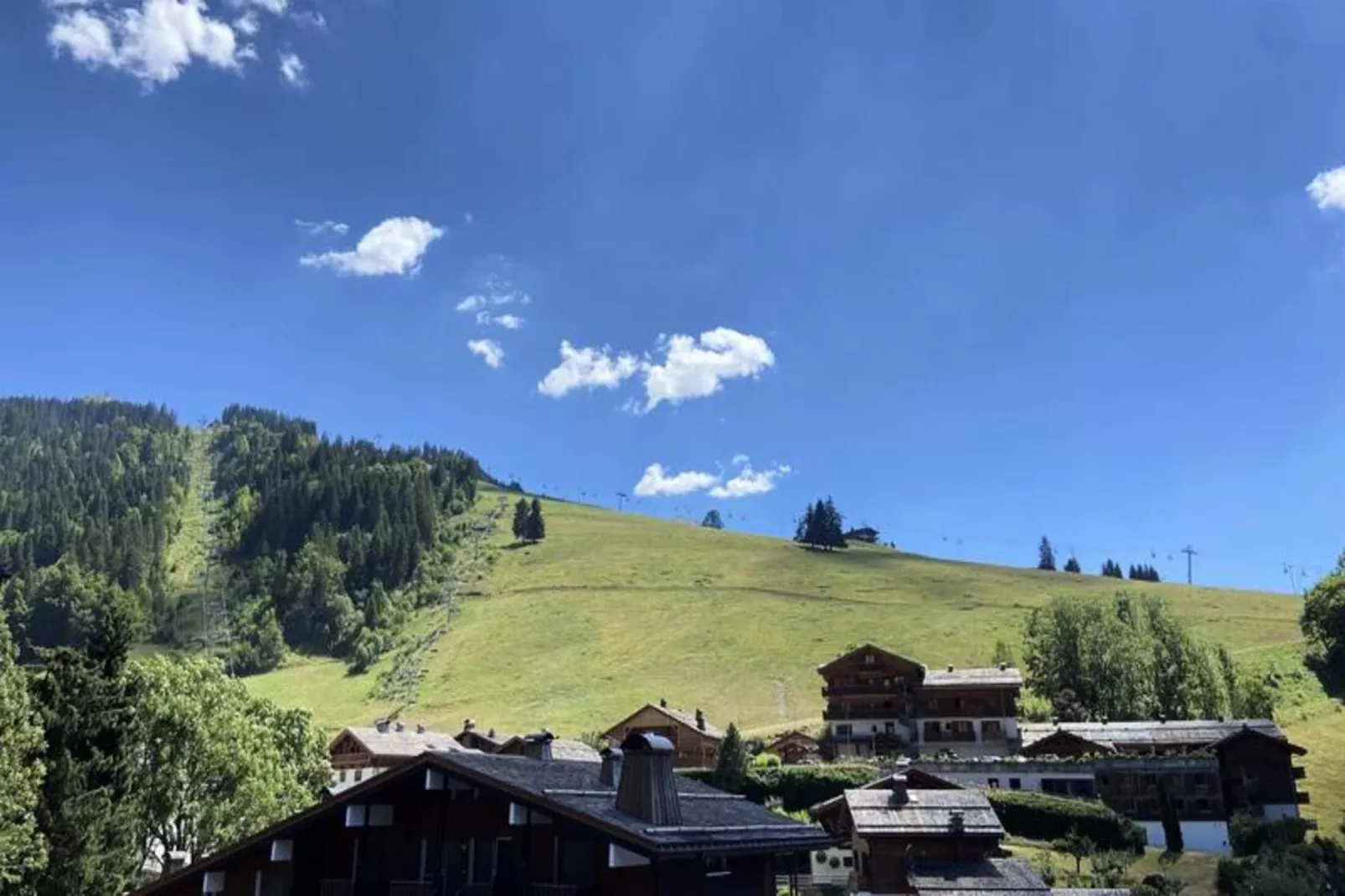 Résidence Granges B-Uitzicht zomer
