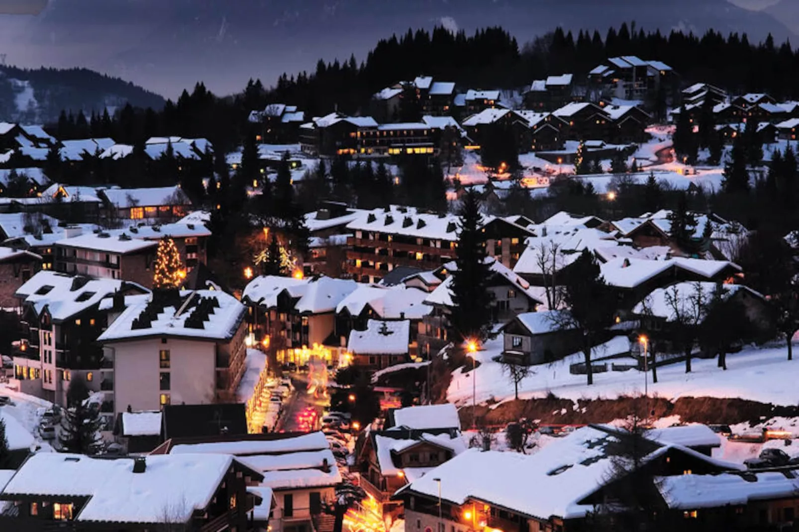 Studio à Les Carroz-d'Arâches-Image-tags.