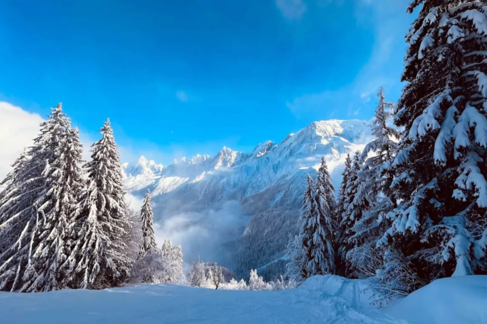 Résidence Les Aiguilles Rouges Bat B-Gebied winter 5km