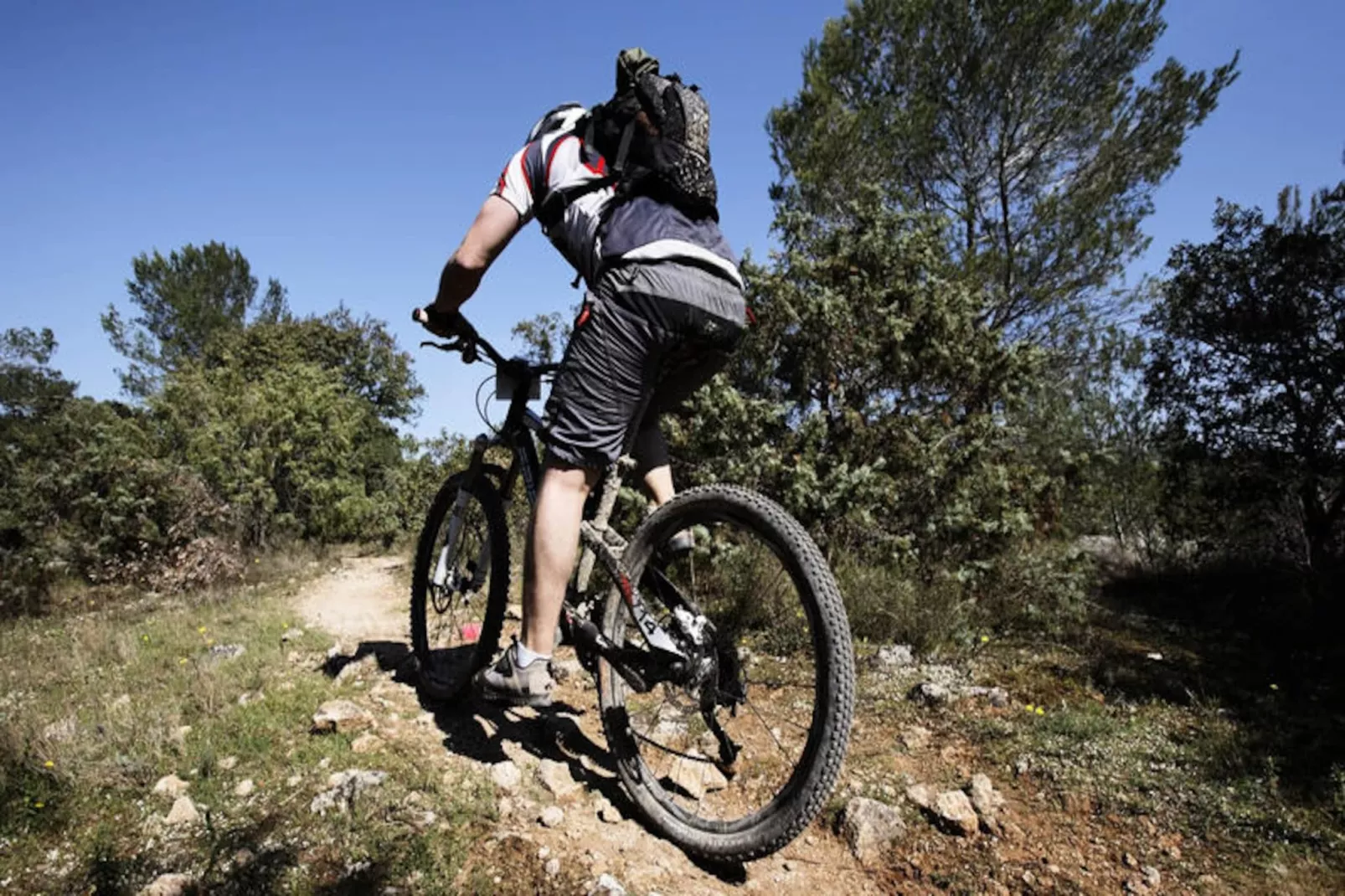 Appartements à Saint Jean d'Aulps-Image-tags.